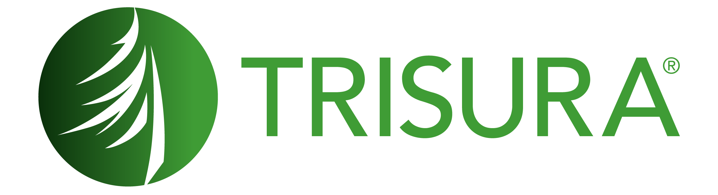 TRISURA RGB Gradient